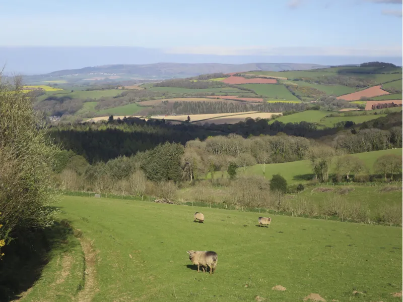 Cicerone - Walking The End To End Trail - Andy Robinson-5